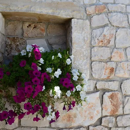 La Collinetta Locorotondo