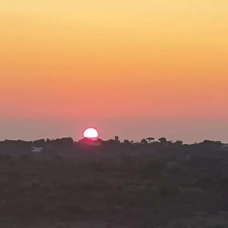 Alojamento de Acomodação e Pequeno-almoço La Collinetta