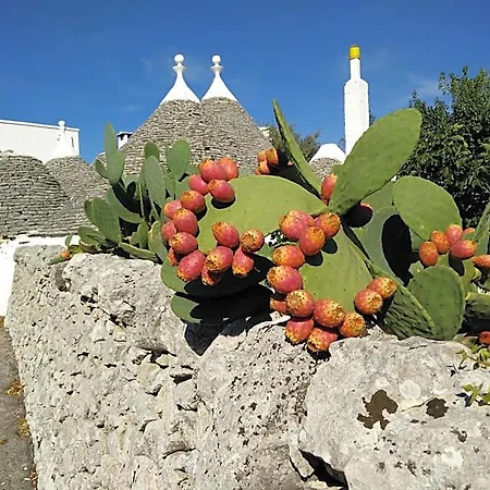 La Collinetta Bed & Breakfast 3*