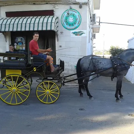 La Collinetta فندق مبيت وإفطار 3*