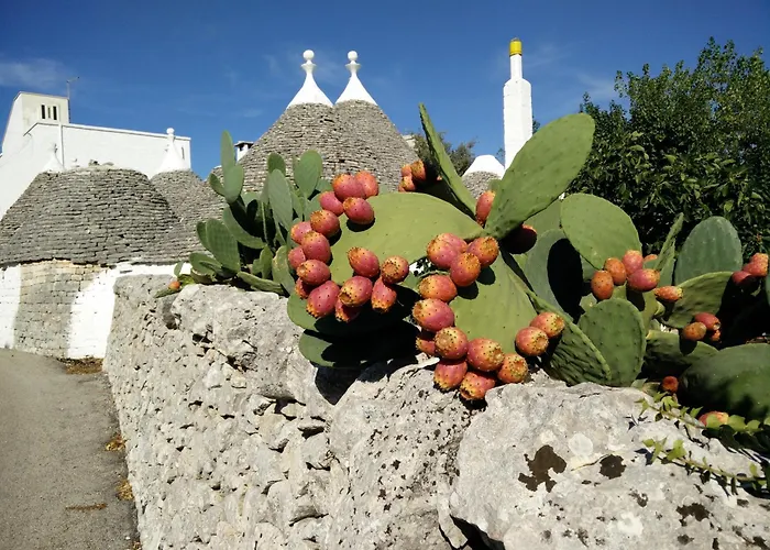 Bed & Breakfast La Collinetta